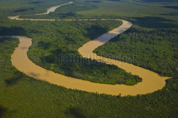 Kinabatangan River in Borneo Malaysia primary forest