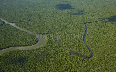 Sungai Kinabatangan River meanders through the forest Borneo