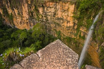 Waterfall cliff and forest Chapada dos Guimaraes Brazil