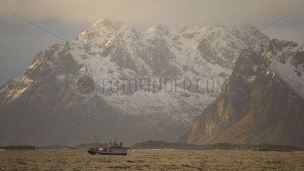 Boat to the mountains of the Lofoten Islands