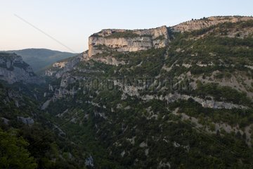 Rock of wax in the Gorges of the Nesque France
