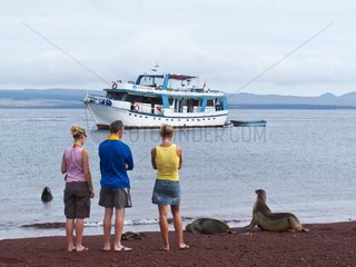 Tourists and sea lions on the beach Galapagos