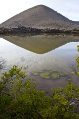 Landscape of the island of Floreana Galapagos