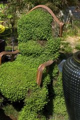 Fauteuil végétal espace jardin à Montmorency