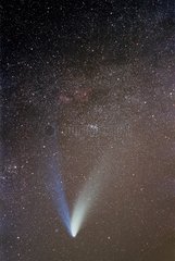Comet Hale-Bopp through a field of stars