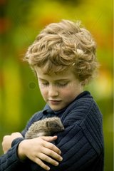 Boy holding an orphaned hedgehog United-Kingdom