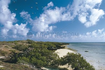 Aldabra Seychelles Atoll Landschaft