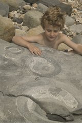 7 years old boy looking of fossiliferous rocks