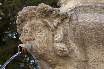 Sculpted head on a fountain in Provence France