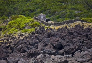 Caleta de Nesquim Pico Island Azores