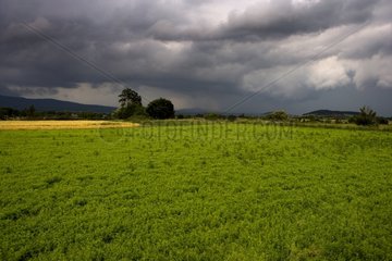 Agricultural landscape under a stormy sky France