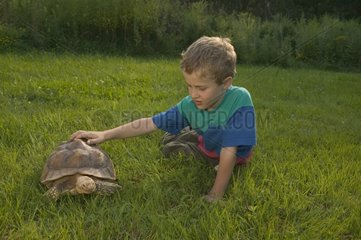 Junge  der eine große Schildkröte im Gras streichelt