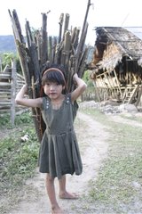 Hill Miri girl carrying wood Arunachal Pradesh India