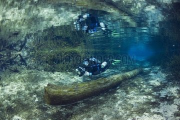 Scuba diver reflecting on the surface Ginnie Spring Florida