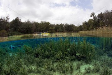 Split image of Rainbow River Ginnie Springs Florida USA