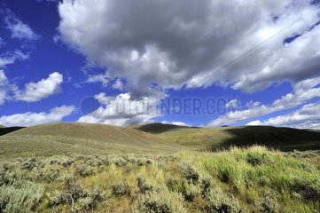 Landscape of Hayden Valley of Yellowstone NP USA