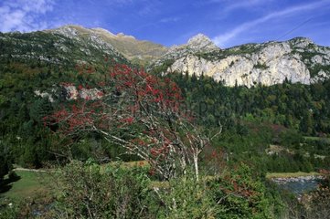 Sight of the valley of Bujaruelo in autumn Spain