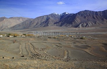 Fields in the village of Karcha Ladakh in India