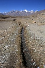 Creek used to irrigate crops in Zanskar Inde