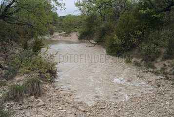 Rainwater coming in a dry river bed