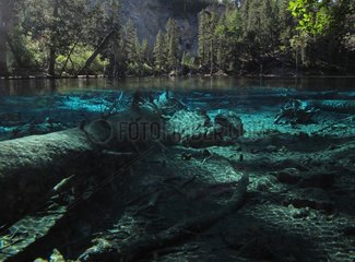 Clear waters of a mountain lake in the Alps France