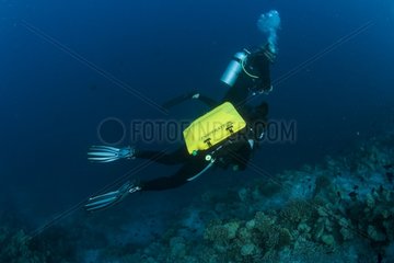 Scuba diver and rebreather diver Maldives Indian Ocean