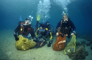 Divers cleaning the sea bed in Monaco