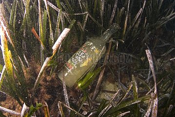 Glass bottle in a herbarium in the Mediterranean Monaco