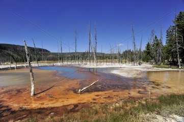 Landscape of geysers in Yellowstone NP USA