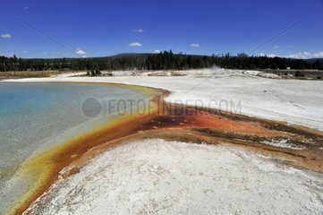 Landscape of geysers in Yellowstone NP USA