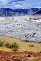 Geysers in Mammoth Hot Springs Yellowstone NP USA