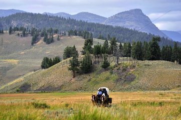 Carriage in the landscape of Yellowstone NP USA