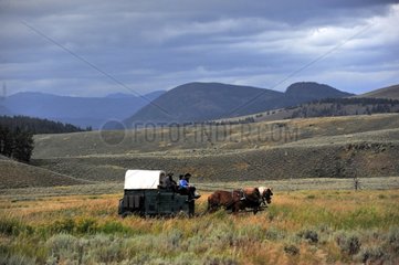 Carriage in the landscape of Yellowstone NP USA