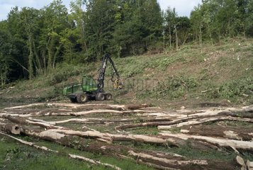 Excavator cutting logs