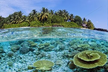 Kuramathi Island and coral lagoon in the Maldives