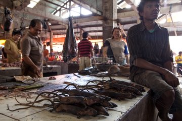 Smoked rat on a market stall Tomohon Sulawesi
