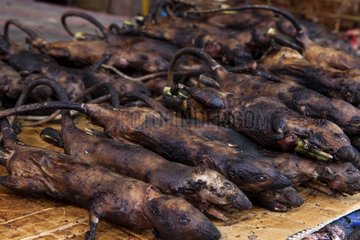 Smoked Rats on a market stall Tomohon Sulawesi