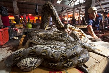 Cutting Python on a market stall Tomohon Sulawesi