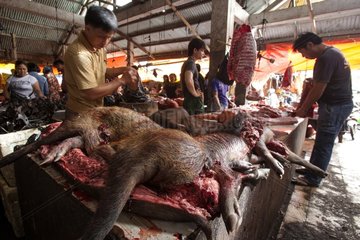 Cutting Boar on a market stall Tomohon Sulawesi