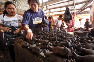 Smoked Bats on a market stall Tomohon Sulawesi