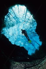 Scuba Diver at the entry of a cave Ginnie Springs Florida