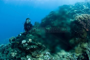 Scuba diver and spring of fresh water Tahiti Polynesia