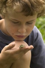 Junge mit einem Pickerel -Frosch auf dem Finger Pennsylvannia USA