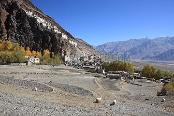 Village and fields Karcha Zanskar in India