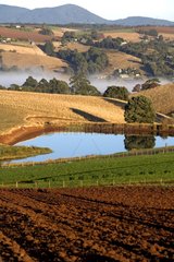 Vegetable grower landscape at Forth N W Coast Tasmania