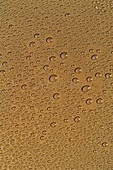 Drops of water on an iron plate