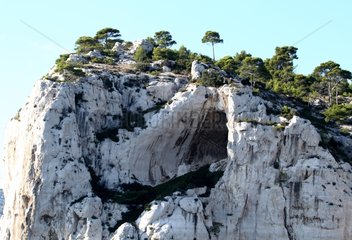 Mediterranean forest and rocky shore Calanques of Cassis