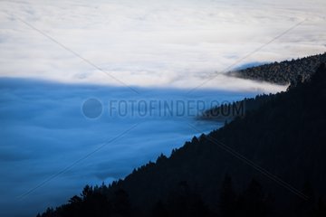 Cloud sea in the Vosges France