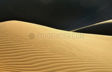 Sand dune in the desert of Rub al-Khali Abu Dhabi