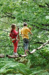 Children in a log bridge tree climbing France